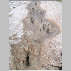 102_6148 (2013-08-07)mod2.JPG